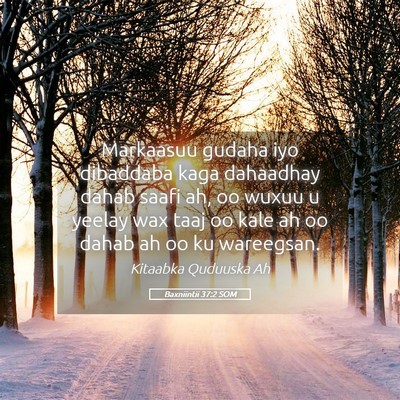 Picture 05 - Baxniintii 37:2 SOM - Markaasuu gudaha iyo dibaddaba kaga dahaadhay - Bible Verse Picture