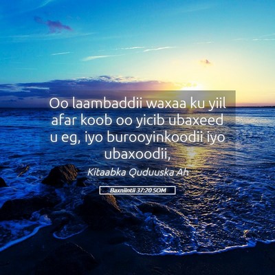Picture 05 - Baxniintii 37:20 SOM - Oo laambaddii waxaa ku yiil afar koob oo yicib - Bible Verse Picture