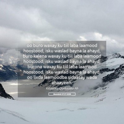 Picture 05 - Baxniintii 37:21 SOM - oo buro waxay ku tiil laba laamood hoostood, isku - Bible Verse Picture