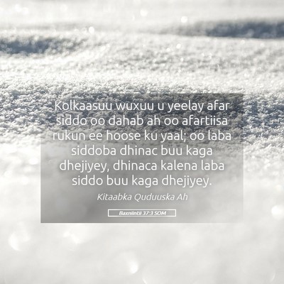 Picture 05 - Baxniintii 37:3 SOM - Kolkaasuu wuxuu u yeelay afar siddo oo dahab ah - Bible Verse Picture