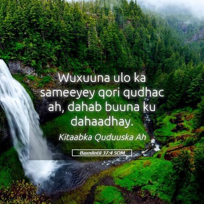 Picture 05 - Baxniintii 37:4 SOM - Wuxuuna ulo ka sameeyey qori qudhac ah, dahab - Bible Verse Picture