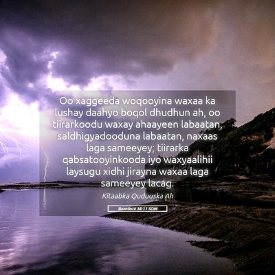 Picture 05 - Baxniintii 38:11 SOM - Oo xaggeeda woqooyina waxaa ka lushay daahyo - Bible Verse Picture