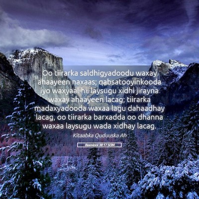 Picture 05 - Baxniintii 38:17 SOM - Oo tiirarka saldhigyadoodu waxay ahaayeen naxaas; - Bible Verse Picture