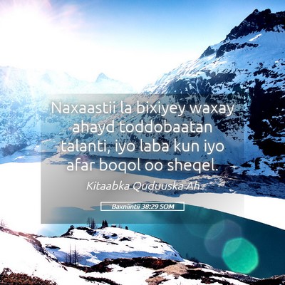 Picture 05 - Baxniintii 38:29 SOM - Naxaastii la bixiyey waxay ahayd toddobaatan - Bible Verse Picture