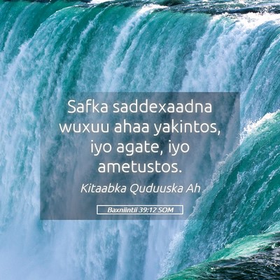 Picture 05 - Baxniintii 39:12 SOM - Safka saddexaadna wuxuu ahaa yakintos, iyo agate, - Bible Verse Picture