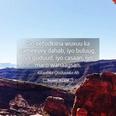 Picture 05 - Baxniintii 39:2 SOM - Oo eefodkiina wuxuu ka sameeyey dahab, iyo - Bible Verse Picture