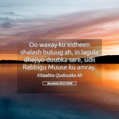 Picture 05 - Baxniintii 39:31 SOM - Oo waxay ku xidheen shalash buluug ah, in lagula - Bible Verse Picture