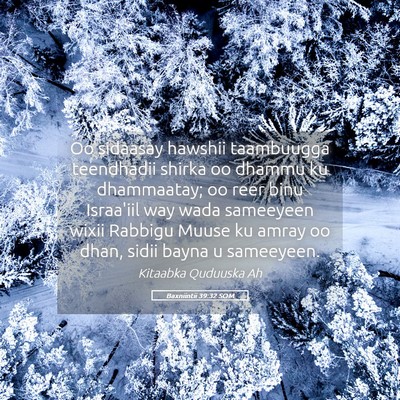 Picture 05 - Baxniintii 39:32 SOM - Oo sidaasay hawshii taambuugga teendhadii shirka - Bible Verse Picture