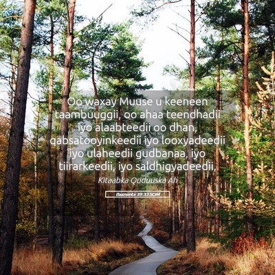 Picture 05 - Baxniintii 39:33 SOM - Oo waxay Muuse u keeneen taambuuggii, oo ahaa - Bible Verse Picture