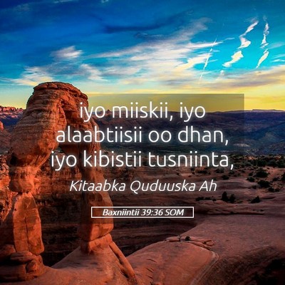 Picture 05 - Baxniintii 39:36 SOM - iyo miiskii, iyo alaabtiisii oo dhan, iyo - Bible Verse Picture