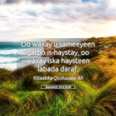 Picture 05 - Baxniintii 39:4 SOM - Oo waxay u sameeyeen garbo is-haystay, oo waxay - Bible Verse Picture