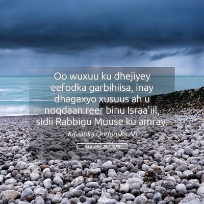 Picture 05 - Baxniintii 39:7 SOM - Oo wuxuu ku dhejiyey eefodka garbihiisa, inay - Bible Verse Picture