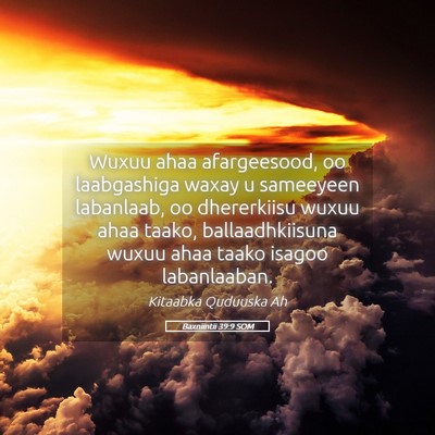 Picture 05 - Baxniintii 39:9 SOM - Wuxuu ahaa afargeesood, oo laabgashiga waxay u - Bible Verse Picture