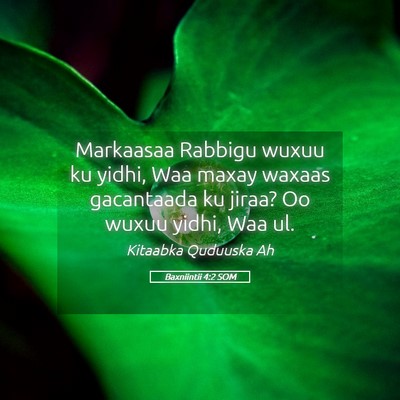 Picture 05 - Baxniintii 4:2 SOM - Markaasaa Rabbigu wuxuu ku yidhi, Waa maxay - Bible Verse Picture