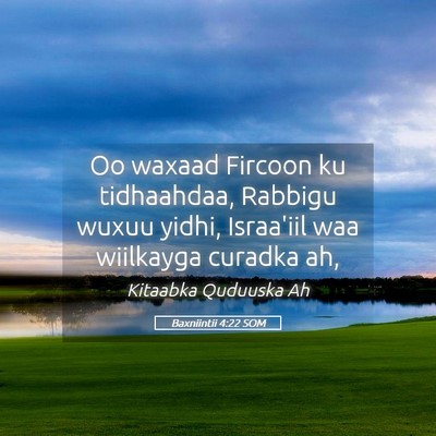 Picture 05 - Baxniintii 4:22 SOM - Oo waxaad Fircoon ku tidhaahdaa, Rabbigu wuxuu - Bible Verse Picture