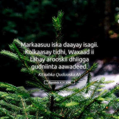 Picture 05 - Baxniintii 4:26 SOM - Markaasuu iska daayay isagii. Kolkaasay tidhi, - Bible Verse Picture