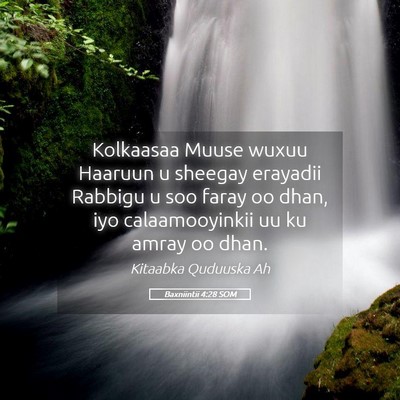 Picture 05 - Baxniintii 4:28 SOM - Kolkaasaa Muuse wuxuu Haaruun u sheegay erayadii - Bible Verse Picture