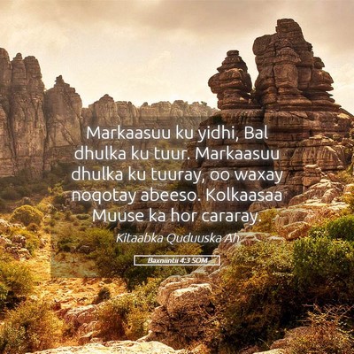 Picture 05 - Baxniintii 4:3 SOM - Markaasuu ku yidhi, Bal dhulka ku tuur. Markaasuu - Bible Verse Picture