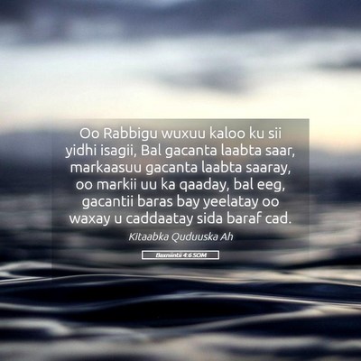 Picture 05 - Baxniintii 4:6 SOM - Oo Rabbigu wuxuu kaloo ku sii yidhi isagii, Bal - Bible Verse Picture