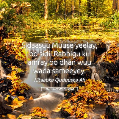 Picture 05 - Baxniintii 40:16 SOM - Sidaasuu Muuse yeelay, oo sidii Rabbigu ku amray - Bible Verse Picture