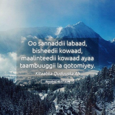 Picture 05 - Baxniintii 40:17 SOM - Oo sannaddii labaad, bisheedii kowaad, - Bible Verse Picture