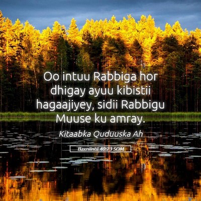 Picture 05 - Baxniintii 40:23 SOM - Oo intuu Rabbiga hor dhigay ayuu kibistii - Bible Verse Picture