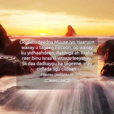 Picture 05 - Baxniintii 5:1 SOM - Oo dabadeedna Muuse iyo Haaruun waxay u tageen - Bible Verse Picture