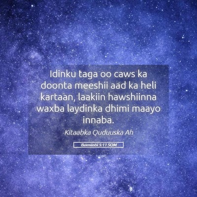 Picture 05 - Baxniintii 5:11 SOM - Idinku taga oo caws ka doonta meeshii aad ka heli - Bible Verse Picture
