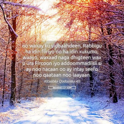 Picture 05 - Baxniintii 5:21 SOM - oo waxay ku yidhaahdeen, Rabbigu ha idin fiiriyo - Bible Verse Picture