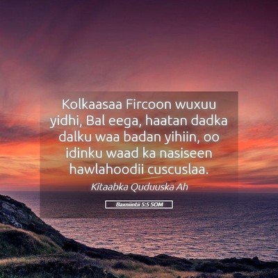 Picture 05 - Baxniintii 5:5 SOM - Kolkaasaa Fircoon wuxuu yidhi, Bal eega, haatan - Bible Verse Picture