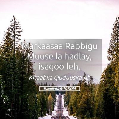 Picture 05 - Baxniintii 6:10 SOM - Markaasaa Rabbigu Muuse la hadlay, isagoo - Bible Verse Picture