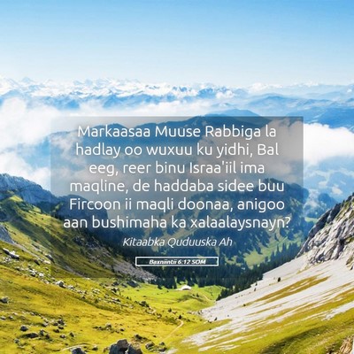 Picture 05 - Baxniintii 6:12 SOM - Markaasaa Muuse Rabbiga la hadlay oo wuxuu ku - Bible Verse Picture