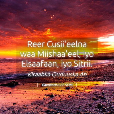Picture 05 - Baxniintii 6:22 SOM - Reer Cusii'eelna waa Miishaa'eel, iyo Elsaafaan, - Bible Verse Picture