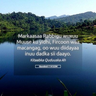 Picture 05 - Baxniintii 7:14 SOM - Markaasaa Rabbigu wuxuu Muuse ku yidhi, Fircoon - Bible Verse Picture