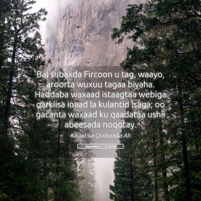 Picture 05 - Baxniintii 7:15 SOM - Bal subaxda Fircoon u tag, waayo, aroorta wuxuu - Bible Verse Picture