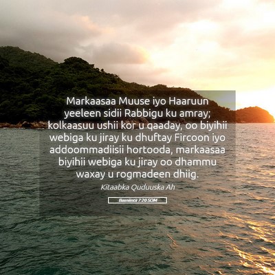 Picture 05 - Baxniintii 7:20 SOM - Markaasaa Muuse iyo Haaruun yeeleen sidii Rabbigu - Bible Verse Picture