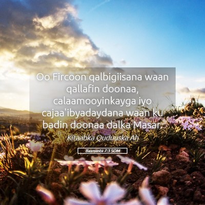 Picture 05 - Baxniintii 7:3 SOM - Oo Fircoon qalbigiisana waan qallafin doonaa, - Bible Verse Picture