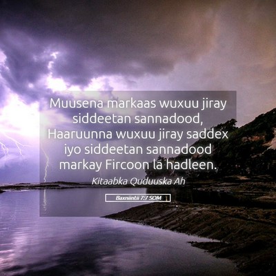Picture 05 - Baxniintii 7:7 SOM - Muusena markaas wuxuu jiray siddeetan sannadood, - Bible Verse Picture
