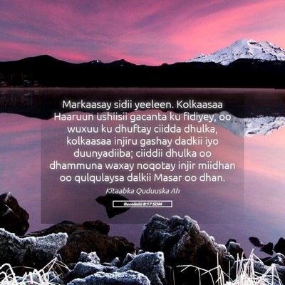 Picture 05 - Baxniintii 8:17 SOM - Markaasay sidii yeeleen. Kolkaasaa Haaruun - Bible Verse Picture