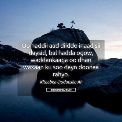 Picture 05 - Baxniintii 8:2 SOM - Oo haddii aad diiddo inaad sii daysid, bal hadda - Bible Verse Picture