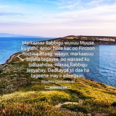 Picture 05 - Baxniintii 8:20 SOM - Markaasaa Rabbigu wuxuu Muuse ku yidhi, Aroor - Bible Verse Picture