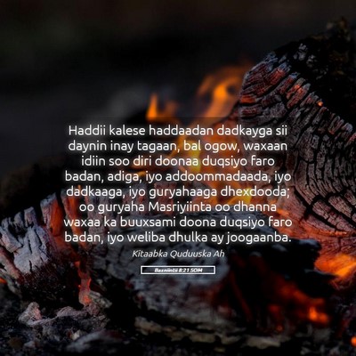 Picture 05 - Baxniintii 8:21 SOM - Haddii kalese haddaadan dadkayga sii daynin inay - Bible Verse Picture