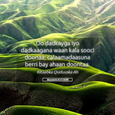 Picture 05 - Baxniintii 8:23 SOM - Oo dadkayga iyo dadkaagana waan kala sooci - Bible Verse Picture
