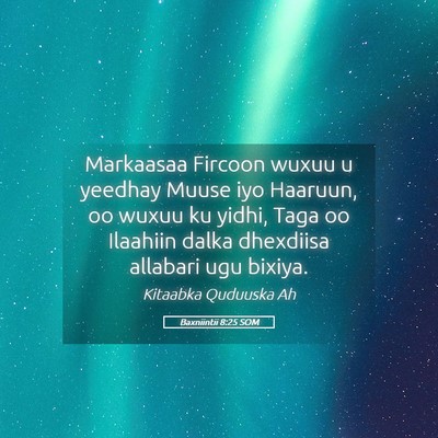 Picture 05 - Baxniintii 8:25 SOM - Markaasaa Fircoon wuxuu u yeedhay Muuse iyo - Bible Verse Picture