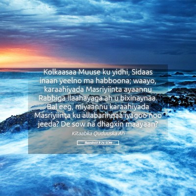 Picture 05 - Baxniintii 8:26 SOM - Kolkaasaa Muuse ku yidhi, Sidaas inaan yeelno ma - Bible Verse Picture