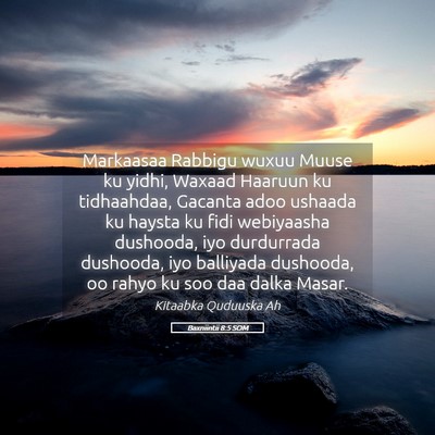 Picture 05 - Baxniintii 8:5 SOM - Markaasaa Rabbigu wuxuu Muuse ku yidhi, Waxaad - Bible Verse Picture