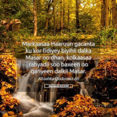Picture 05 - Baxniintii 8:6 SOM - Markaasaa Haaruun gacanta ku kor fidiyey biyihii - Bible Verse Picture