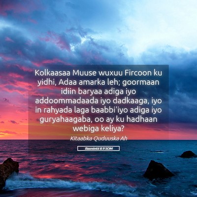 Picture 05 - Baxniintii 8:9 SOM - Kolkaasaa Muuse wuxuu Fircoon ku yidhi, Adaa - Bible Verse Picture