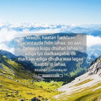 Picture 05 - Baxniintii 9:15 SOM - Waayo, haatan haddaan gacantayda fidin lahaa, oo - Bible Verse Picture