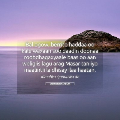 Picture 05 - Baxniintii 9:18 SOM - Bal ogow, berrito haddaa oo kale waxaan soo - Bible Verse Picture